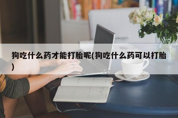 打胎药的微信联系方式狗吃什么药才能打胎呢(狗吃什么药可以打胎)