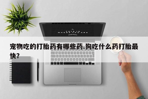 打胎药的微信联系方式宠物吃的打胎药有哪些药.狗吃什么药打胎最快？