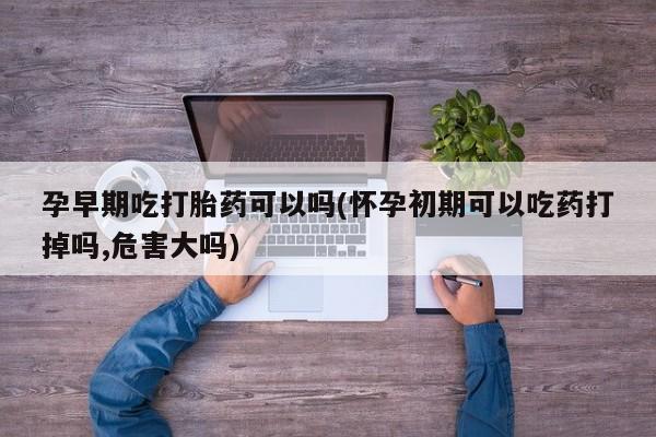 打胎药的微信联系方式孕早期吃打胎药可以吗(怀孕初期可以吃药打掉吗,危害大吗)