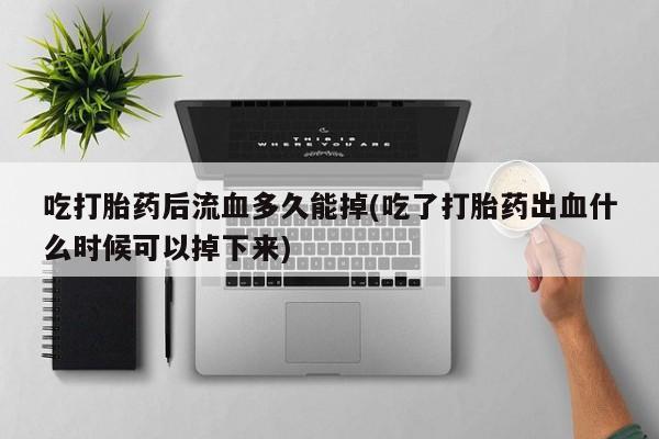 admin 第368页